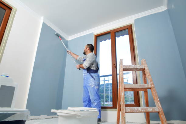 Professional Painting & Drywall Services in Peru, IL